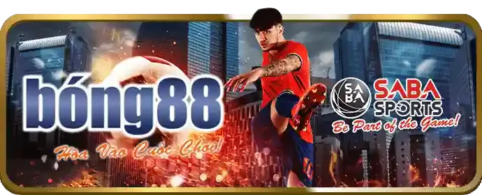 Hình ảnh hoàn trả hàng ngày/tuần cho các hoạt động cá cược thể thao.